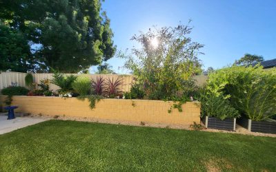Choosing Plants to Decorate Your Retaining Wall